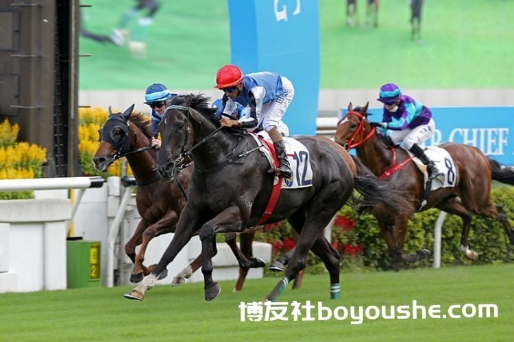 香港赛马会再次打破开锣日投注额新高
香港赛马会再次打破开锣日投注额新高