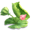 PG电子鱼跃龙门带您化身为龙，飞黄腾达必夺魁